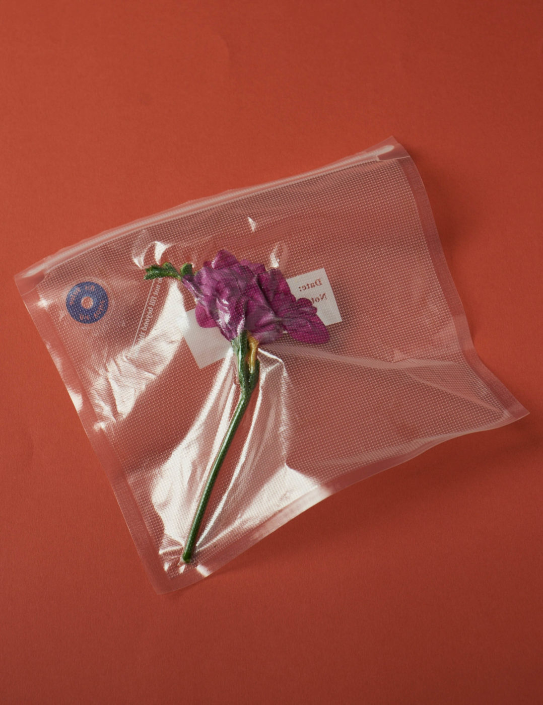 Vacuum Flowers Adam Goodison Photography