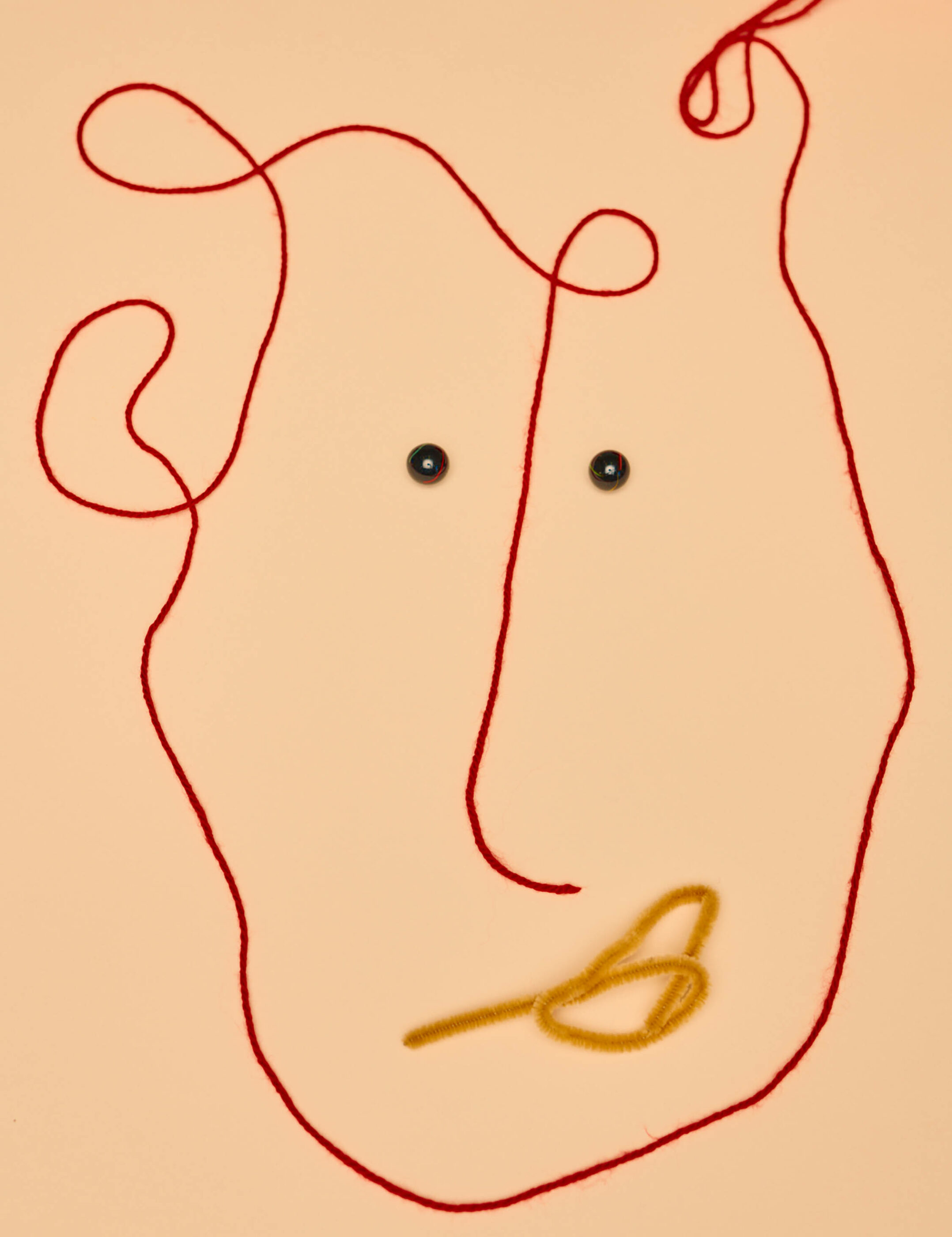 Kool Thing Adam Goodison Photography